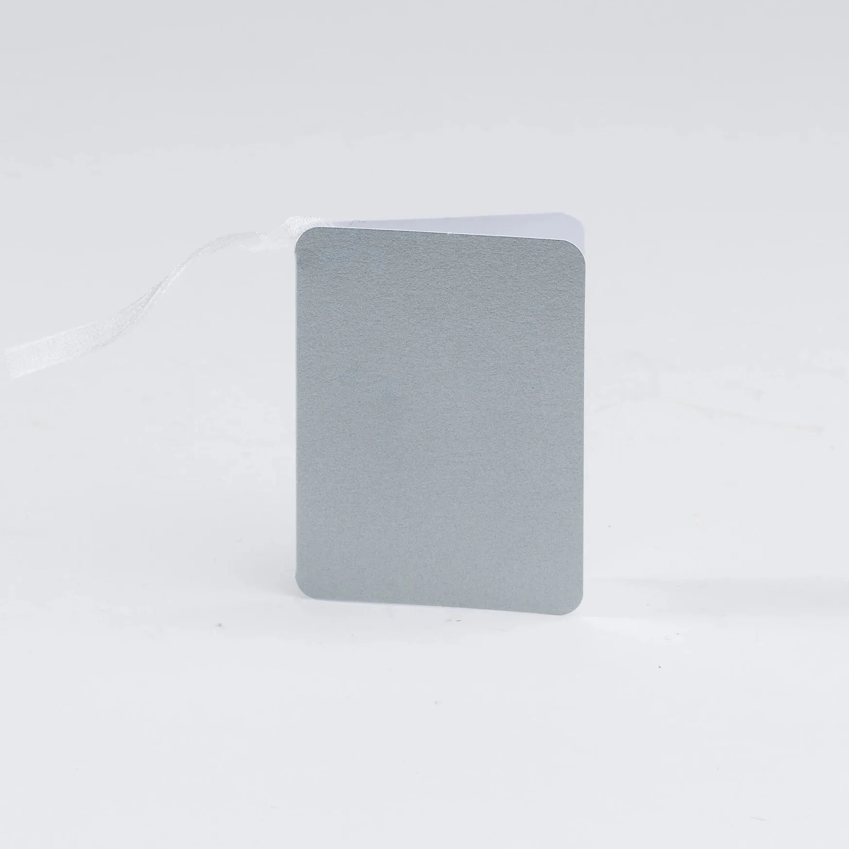 Luxury Pearl Silver Gift Tags (25)