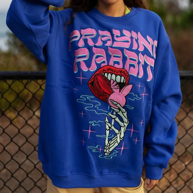 Rabbit temptation casual street sports sweater