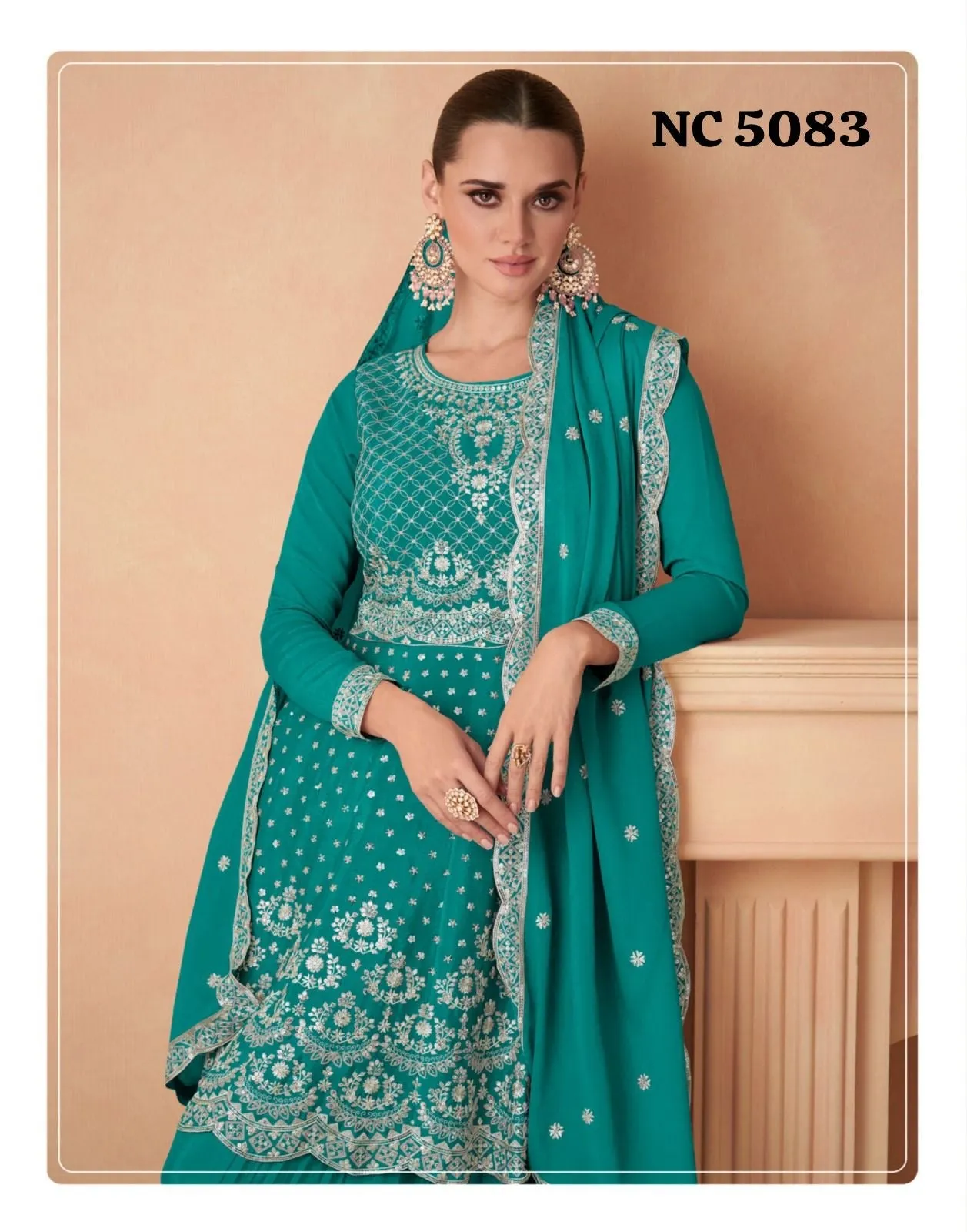 Rivashi Dresses Indian Pakistani Dress